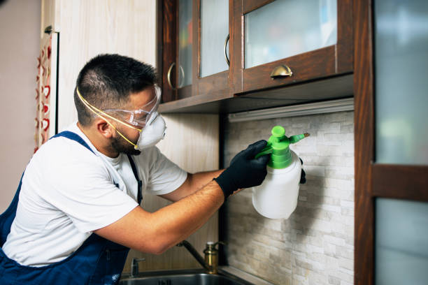 Best Exterminator Services  in Leonville, LA
