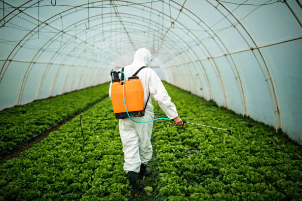 Best Pest Control Near Me  in Leonville, LA