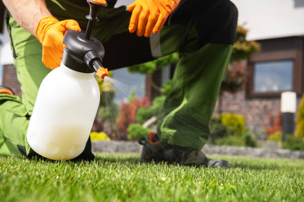 Best Affordable Pest Control Services  in Leonville, LA