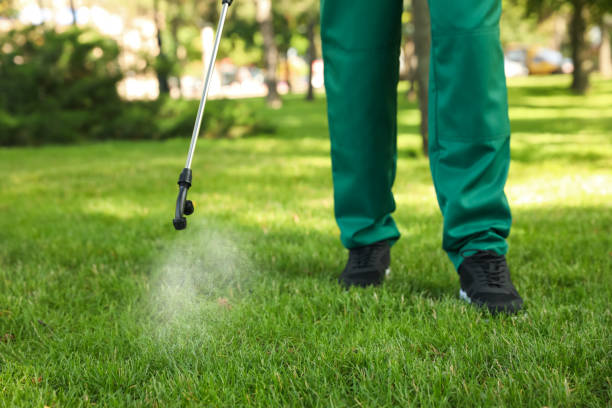 Best Insect Control  in Leonville, LA