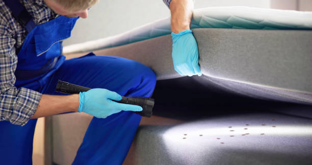 Best Flea Control Services  in Leonville, LA