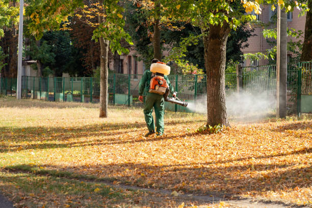 Best Residential Pest Control  in Leonville, LA