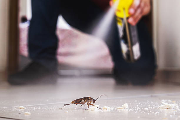 Best Pest Control Near Me  in Leonville, LA