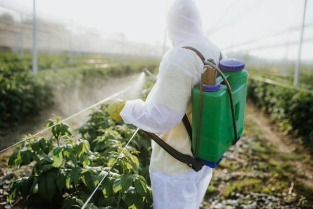 Best Affordable Pest Control Services  in Leonville, LA